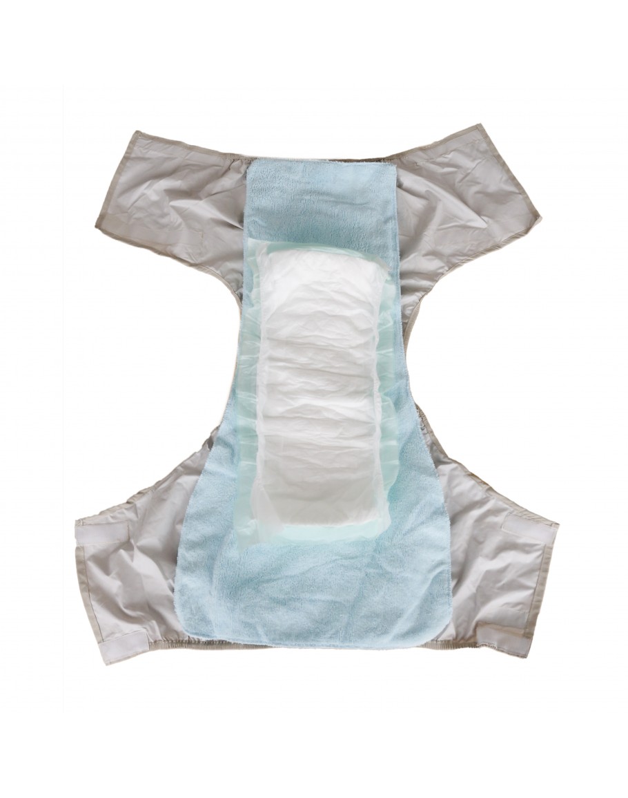 https://www.rainbowcare.com.sg/image/cache/catalog/products/Personal%20Care/Reusable%20Adult%20Diapers/Reusable%20Adult%20Diapers%20(Insert%20Pad)_03-910x1155.jpg