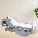 2 Crank Electrical Luxury Hospital Bed