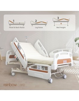 3 Crank Electrical Luxury Nursing Bed