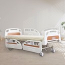 3 Crank Electrical Luxury Nursing Bed