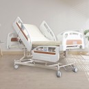 3 Crank Electrical Luxury Nursing Bed