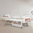 3 Crank Electrical Luxury Nursing Bed