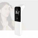 2-in-1 Thermometer