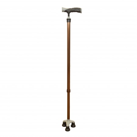 FS9207L Walking Stick