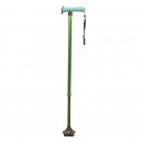 FS9301L Walking Stick