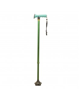 FS9301L Walking Stick