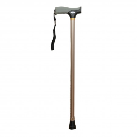 FT2502 Walking Stick