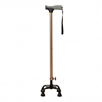 FT2613 Walking Stick